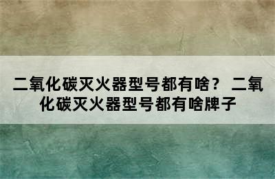 二氧化碳灭火器型号都有啥？ 二氧化碳灭火器型号都有啥牌子